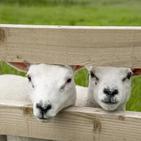 Pasture House 6 * Thornton Watlass