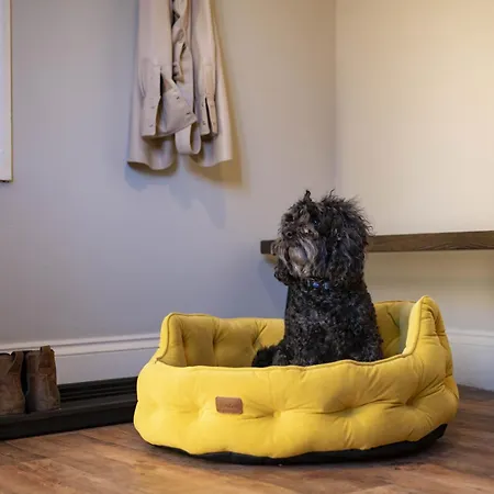 別荘 Pasture House 6